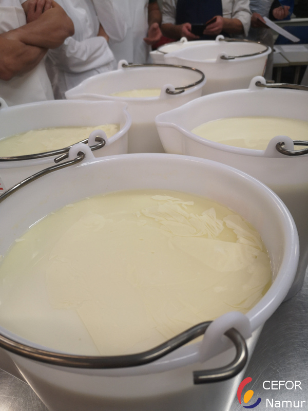 Fromages_cours2